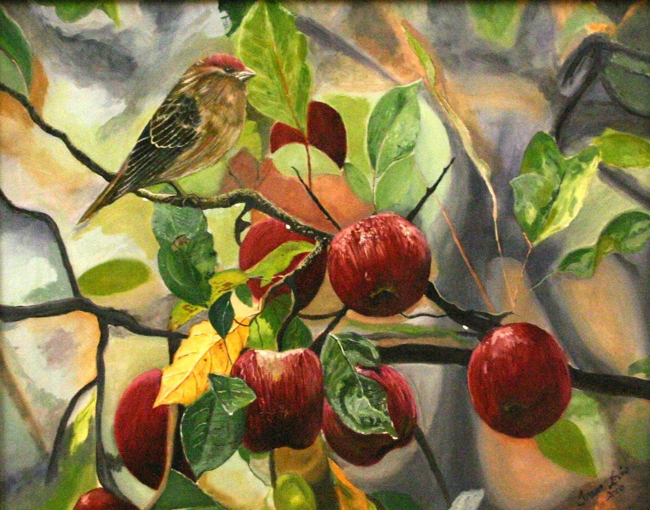 Finch with Apples by Teri Levine